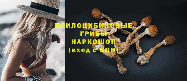 таблы Верея